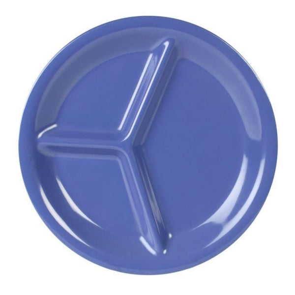 Compartment plates online