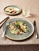 Rustico Pistachio Walled Dinner Plate 26cm / 10 ″ - Pack of 6