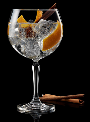Gin Glasses