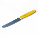 Colour Coded  4'' Serrated Paring Knife