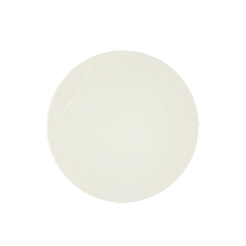Organic Fine Dining Porcelain Flat Plate 22cm/8.5" (Pack of 12)