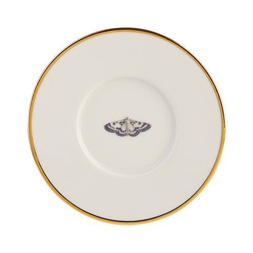 Botanical Fine China Gold Rimmed Saucers 16cm - Pack of 6