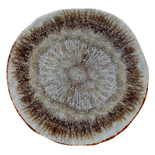 Rustico Iris Präsentationsteller 31 cm – 6 Stück