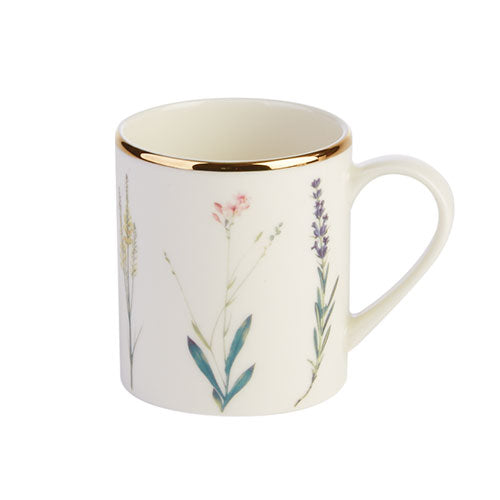 Botanical Fine China Gold Rimmed Cups 250ml - Pack of 6