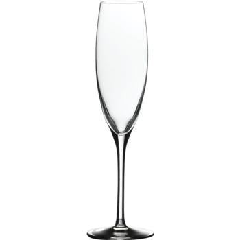 Banquet Champagne Flute - 170ml - Kitchway.com