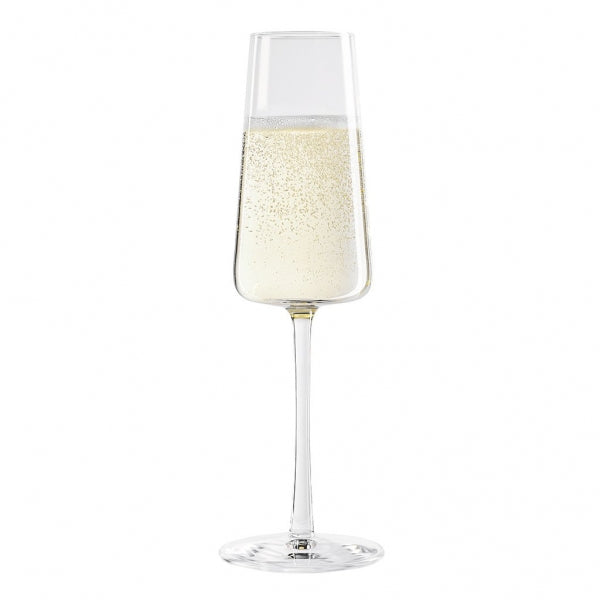Power Champagne Glass/Flute- 238ml - Kitchway.com