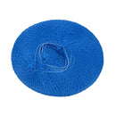 Lion Haircare Hair Net Light Blue (Pack of 50)