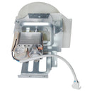 Buffalo-Fan-Versammlung