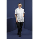 Southside Band Collar Chefs Jacket Blanc Taille XL