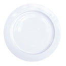 Churchill Alchemy Plates 275mm (Pack of 12)