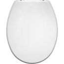 Mittelschwerer STA-TITE-Toilettensitz von Carrara und Matta Atlantic Spa