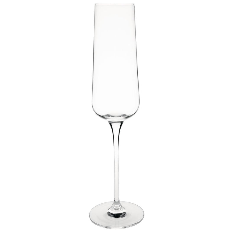 Olympia Claro One Piece Champagnerglas, eckig, 260 ml, 6 Stück