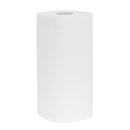 Regina Thirst Pockets Kitchen Roll White 2-Ply 22.9m (Pack of 6)