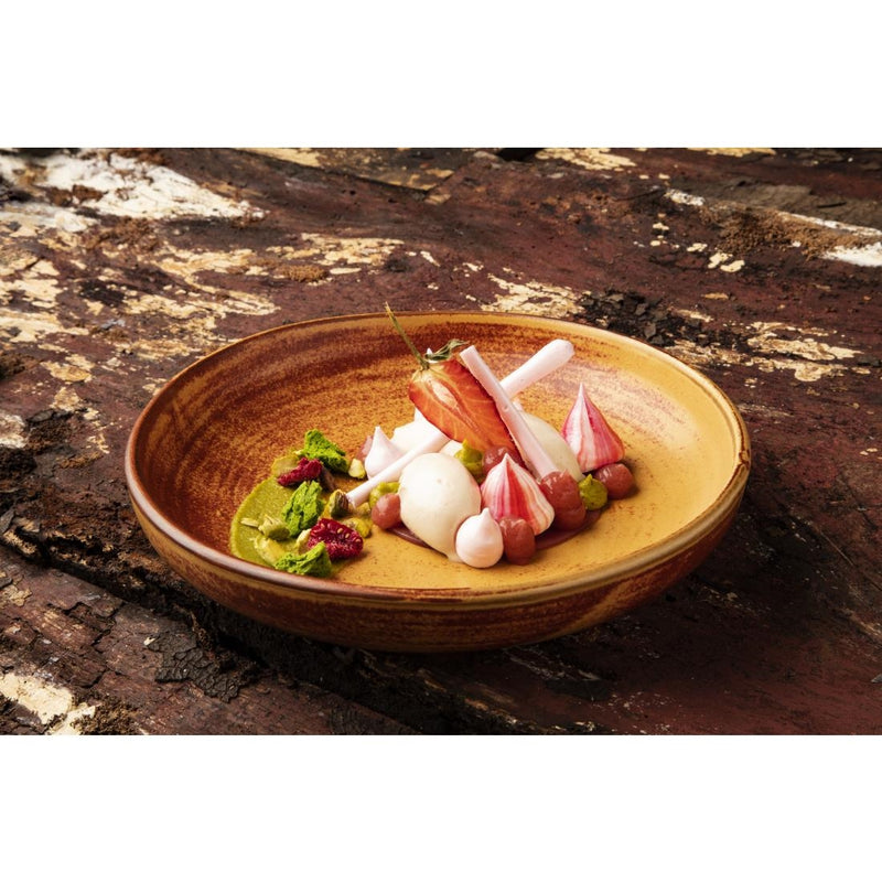 Olympia Canvas Coupe Schüssel Sienna Rust 230 mm (6er-Pack)