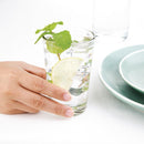 Nisbets Essentials Tumblers 230ml 8oz (Pack of 12)