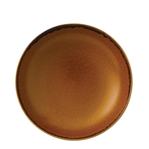 Dudson Harvest Evolve Coupe Bowls Brown 248mm (Pack of 12)