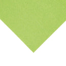 Fiesta Recyclable Lunch Napkin Kiwi 33x33cm 2ply 1/8 Fold (Pack of 2000)