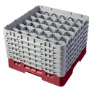 H298mm Cranberry 36 Compartment Camrack