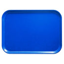 Amazon Blue Camtray 15x20