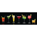 Braun Spin Juicer J500