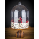 APS Super Dome-Abdeckung PC 300 mm