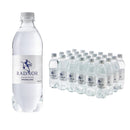 Radnor Hills Sparkling Water 500ml (Pack of 24)