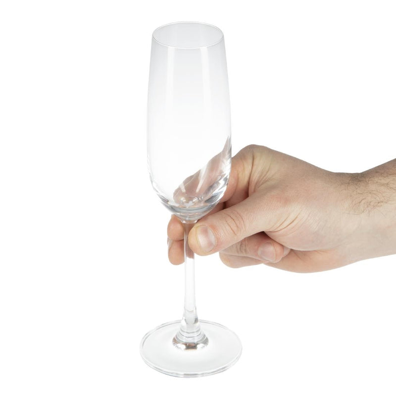 Olympia Modale Crystal Champagne Flutes 215ml (Pack of 6)