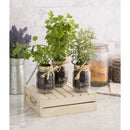 Kilner Einmachglas mit Schraubverschluss, 500 ml