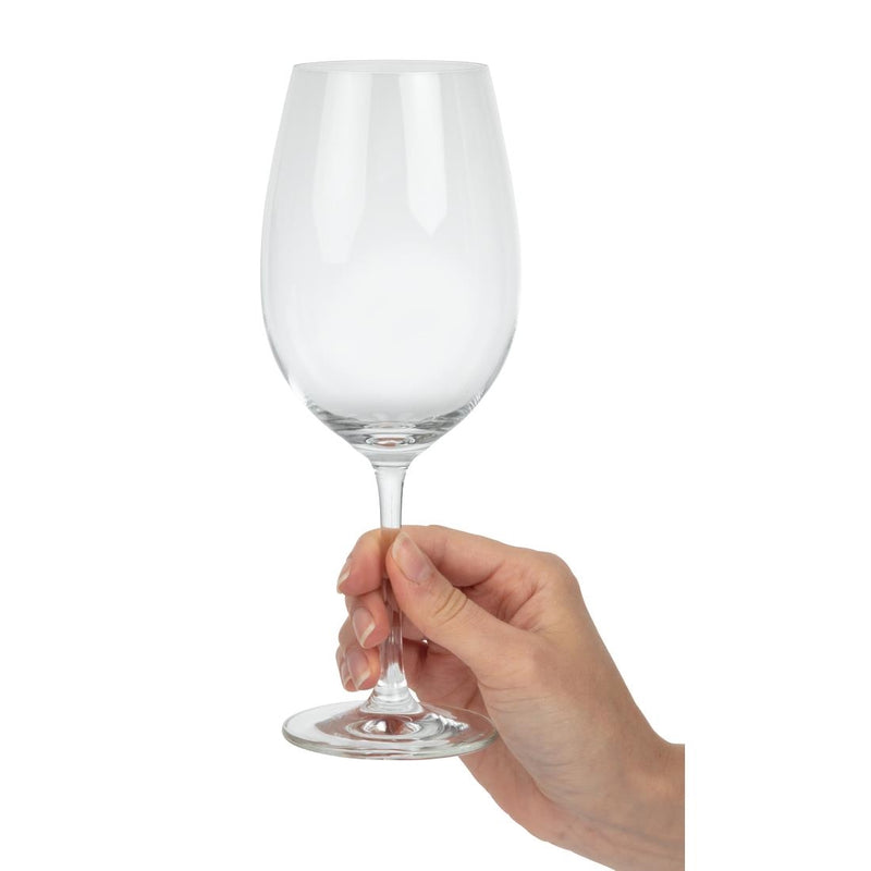 Schott Zwiesel Ivento Red Wine Glasses 480ml (Pack of 6)