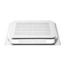 Vogue Stainless Steel Perforated 1/1 Gastronorm Tray 65mm