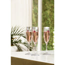 Steelite Design + Champagnerglas 166 ml (Box 12) (Direct)