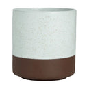 Maham Studio Spice Meersalzbecher 80x86mm 240ml (Box 12)(Direct)